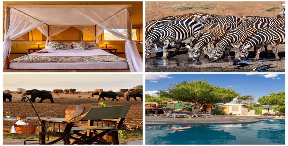 Wildlife and beach on a Kenya safari and coastal holiday