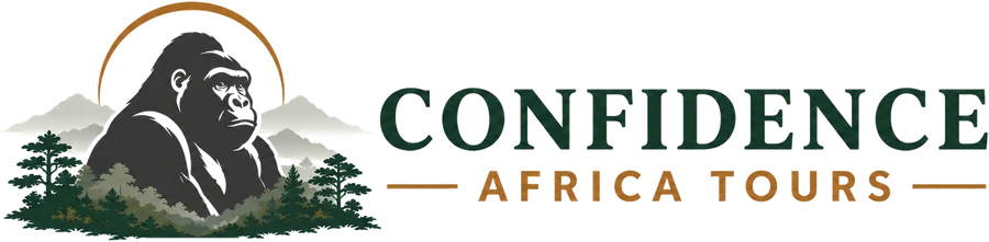 Confidence Africa Tours